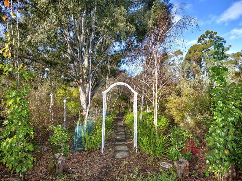 6 Palmer Street, Donnybrook