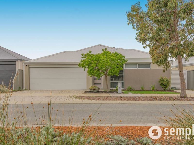 198 Honeywood Avenue, Wandi