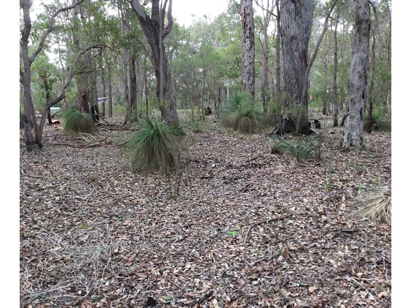 29 Sabina Drive, Molloy Island