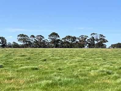 Lot 258,  STAGE 2 - Albany Views Private Estate - Albany Views Private Estate, Drome, Albany WA 6330