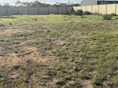 8 McGinniss Way, Merredin WA 6415