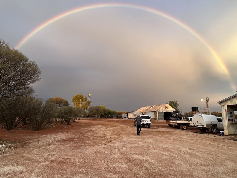 Nallan Station, Cue