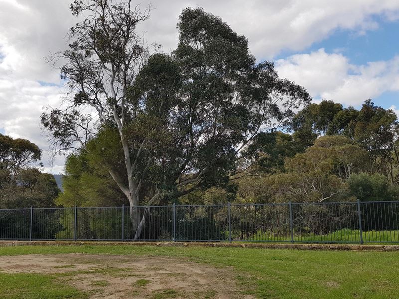 Lot 6, 32 Salter Road, Mount Nasura