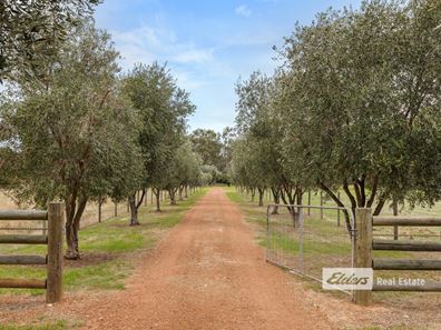 78 Yamballup Avenue, Harvey WA 6220