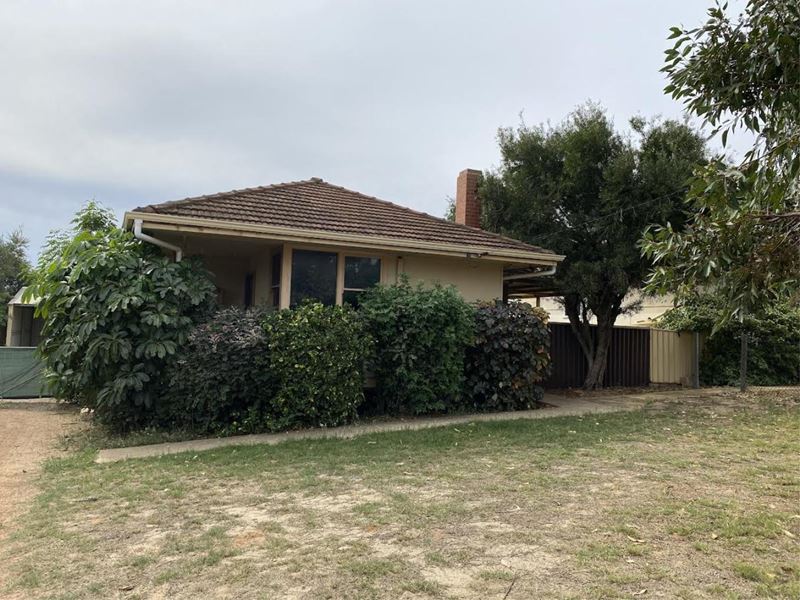 11 Zamia Street, Rangeway WA 6530