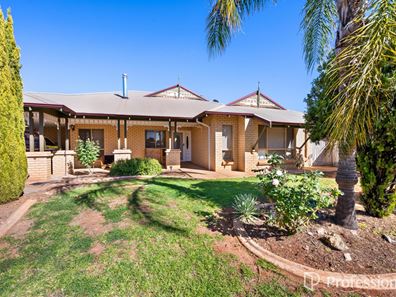 6 Siberia Close, Hannans WA 6430