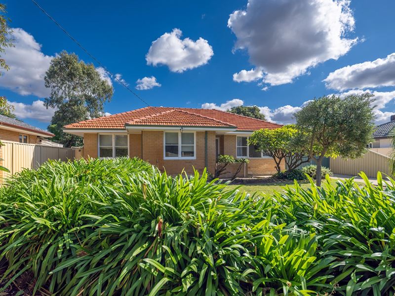 31 Scanlon Way, Lockridge