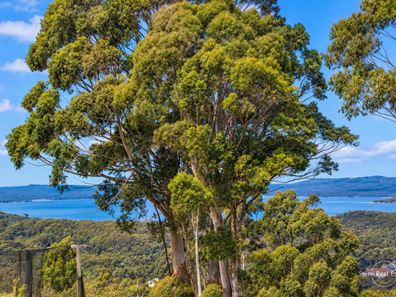 7 Wishart Place, Denmark WA 6333