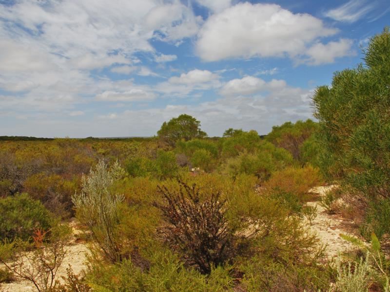 Lot 74 Ridge Way, Jurien Bay