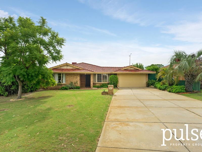 12 Levander Place, Wilson WA 6107