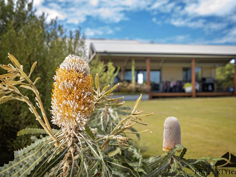 14 Readhead Street, Rudds Gully