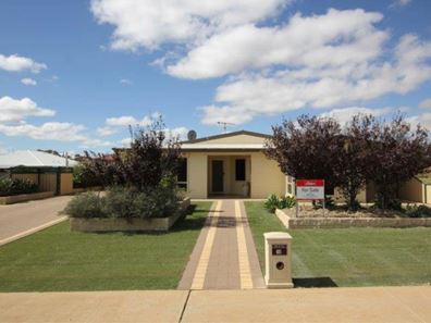 10 McGinniss Way, Merredin WA 6415