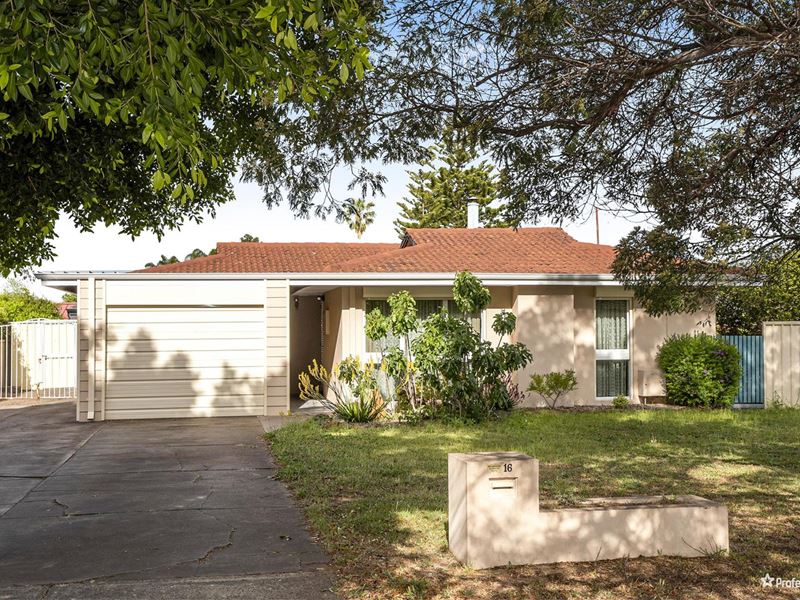 16 Regent Grove, Morley WA 6062