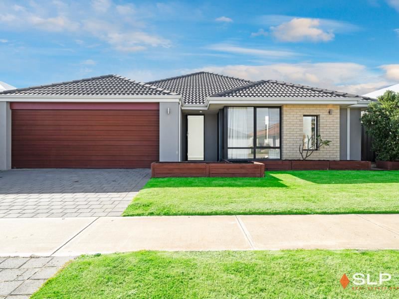 19 Echidna Street, Banksia Grove WA 6031