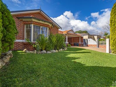 11 Plane Tree Grove, O'Connor WA 6163