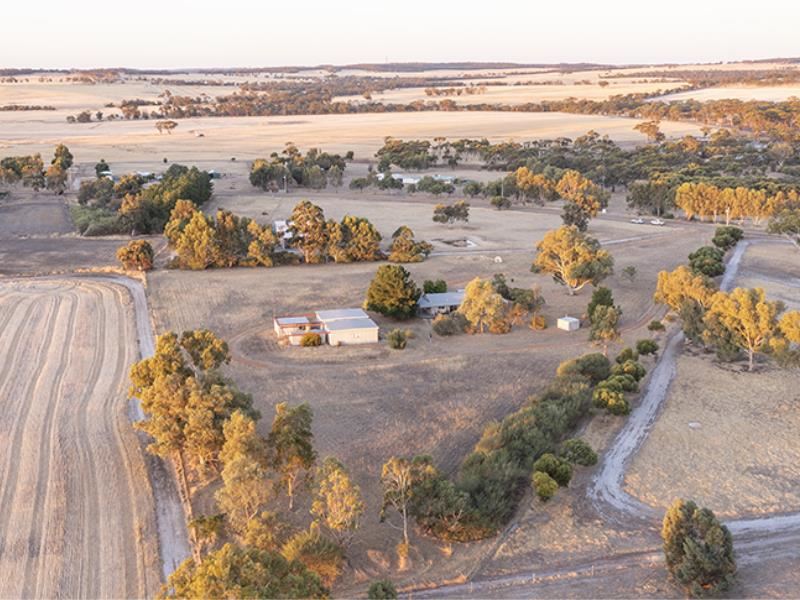 25 Pingelly Heights, Pingelly