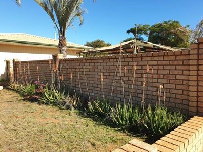 3 Skipworth  Street, Carnarvon WA 6701