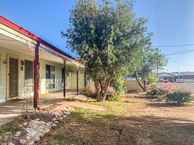 10 Thurkle Square, Dongara WA 6525