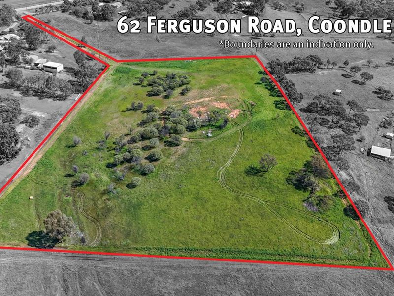 62 Ferguson Road, Coondle