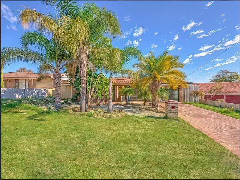 6 Chenile Mews, Mirrabooka WA 6061