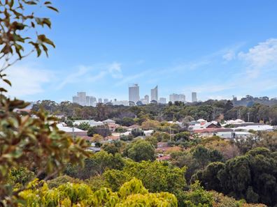 17 Battye Road, Kardinya WA 6163