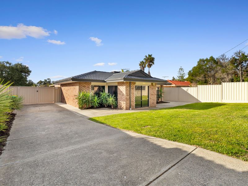 31 Mottlecah Way, Mirrabooka WA 6061