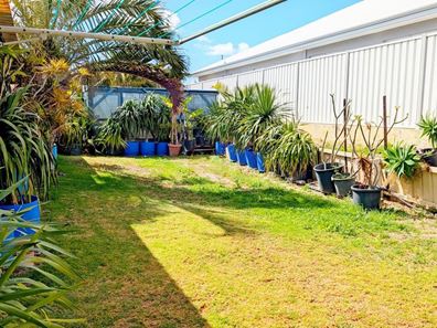 30 Doust Street, Jurien Bay WA 6516