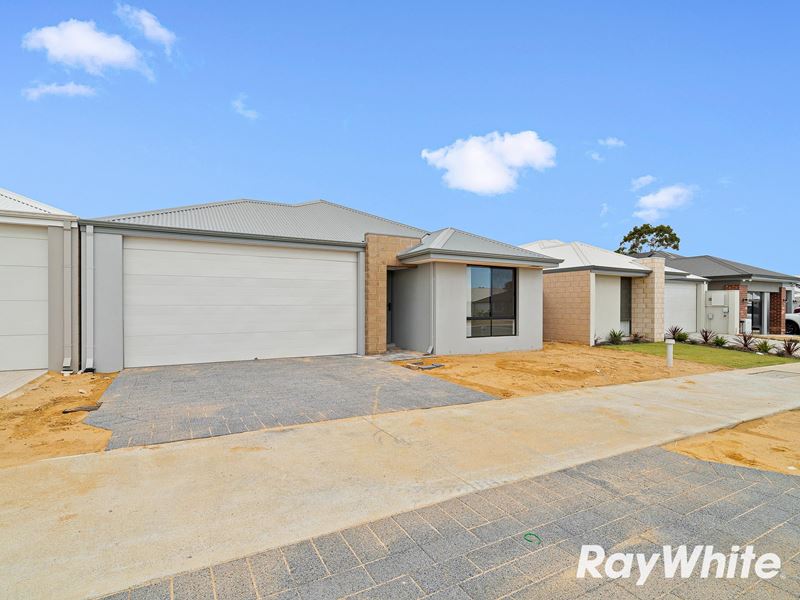 141 Avoca Chase, Baldivis WA 6171