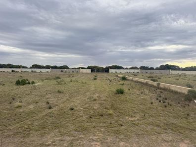 39 Eurithmic Link, Wandina WA 6530