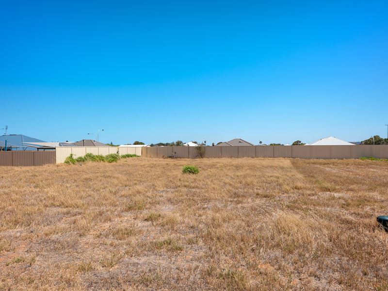 56 Brockagh Drive, Utakarra WA 6530