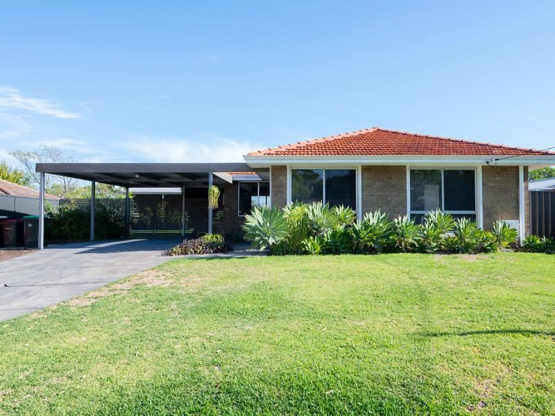 12 Cingalee  Place, Craigie WA 6025