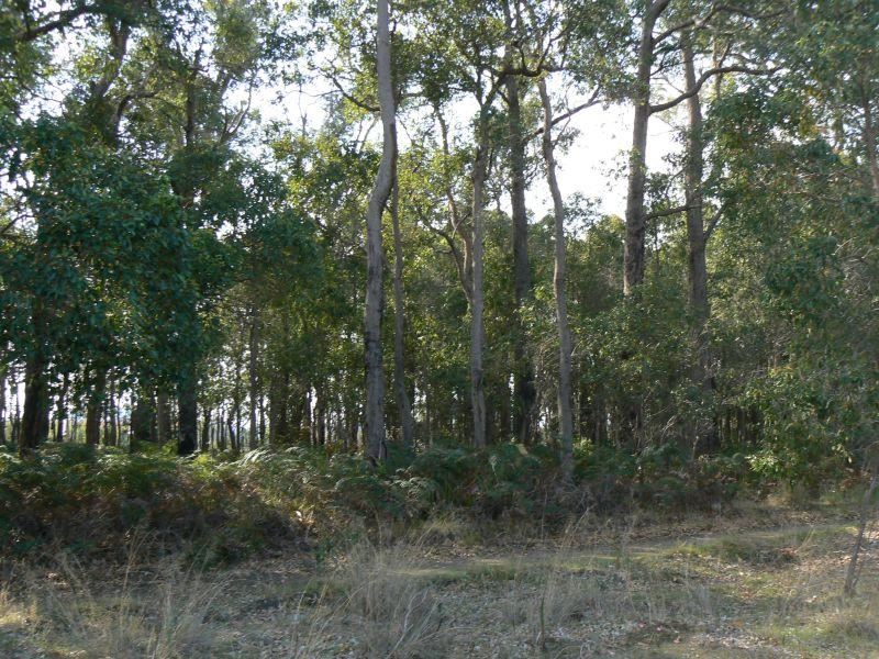 Lot 200,  South Western Highway, Donnybrook