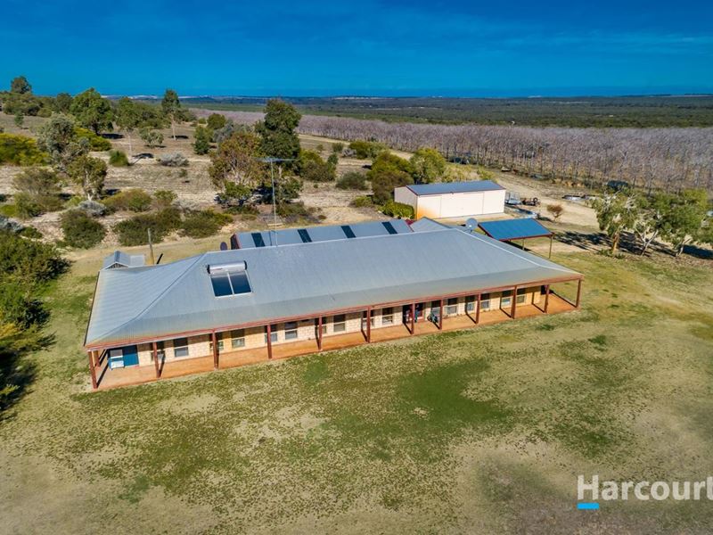 109 Caladenia Road, Wanerie