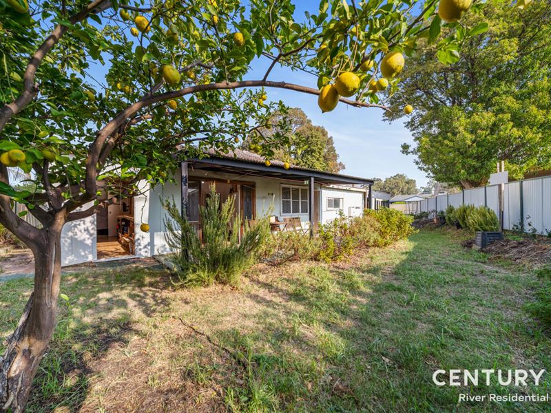 7 Birch Street, Maddington WA 6109