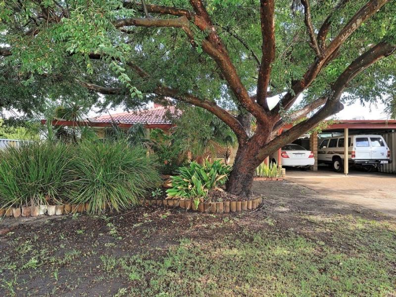 19 Sprint Close, Middle Swan