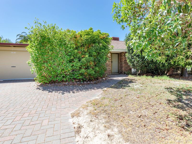 16 Mandarin Way, Seville Grove WA 6112