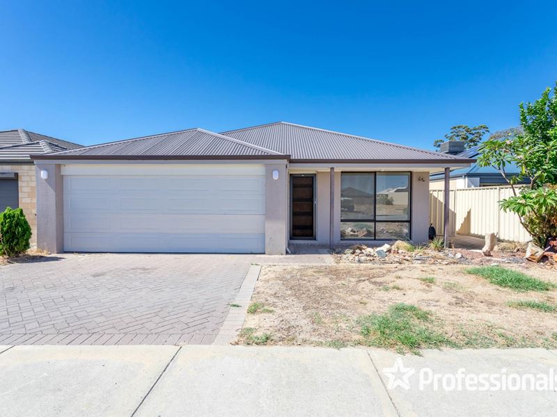 8 Amaranthus Road, Seville Grove WA 6112