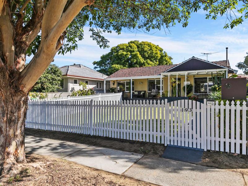 193 Holbeck Street, Doubleview WA 6018