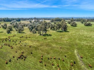 Proposed Lots Dardanup Meadows Stage 1, Crooked Brook WA 6236