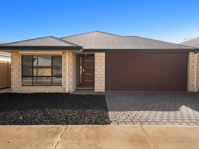 6 Litton Street, Baldivis WA 6171