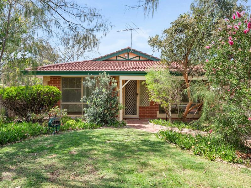 1 Thornbill Loop, Beeliar WA 6164