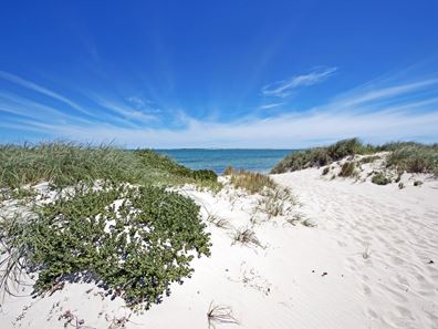 Lot 872 Clifton Ave, Jurien Bay WA 6516