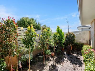 16 Daffodil Road, Canning Vale WA 6155