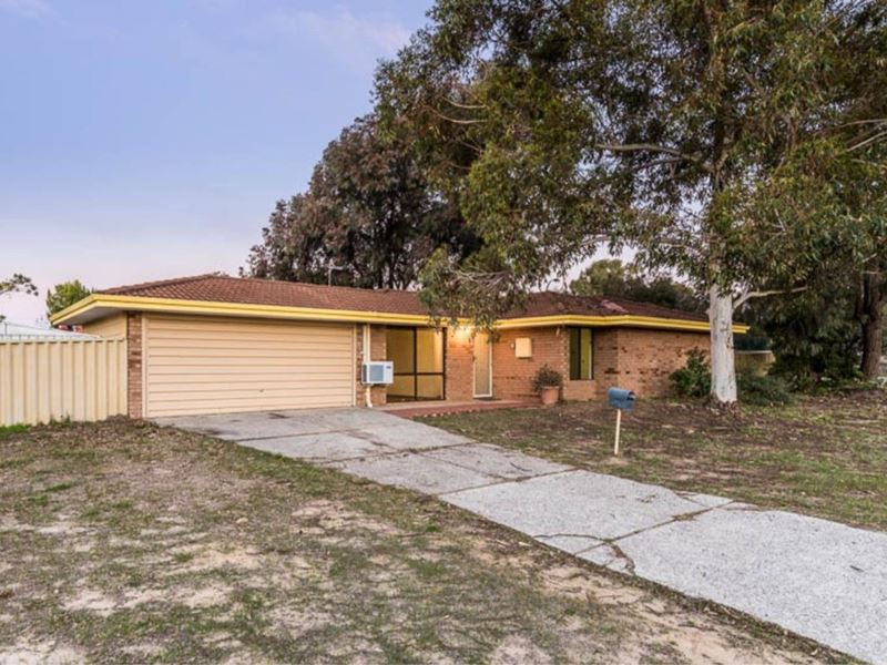 49 Meller Road, Bibra Lake