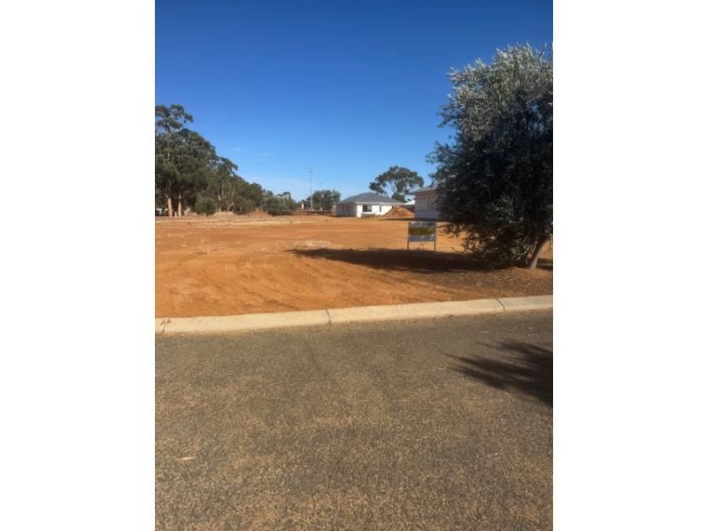 6 Haydon Close, Corrigin WA 6375