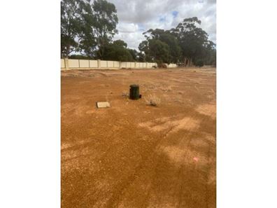 6 Haydon Close, Corrigin WA 6375