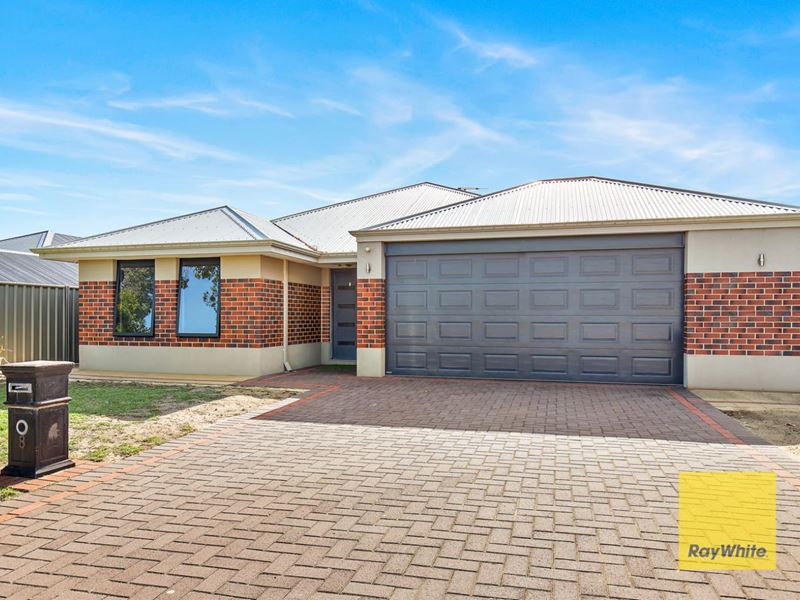 8 Dalton Road, Wellard