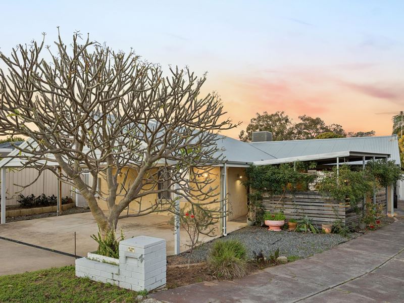 4 Pagneil Court, Hamilton Hill WA 6163