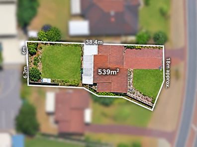 102 Portcullis Drive, Willetton WA 6155