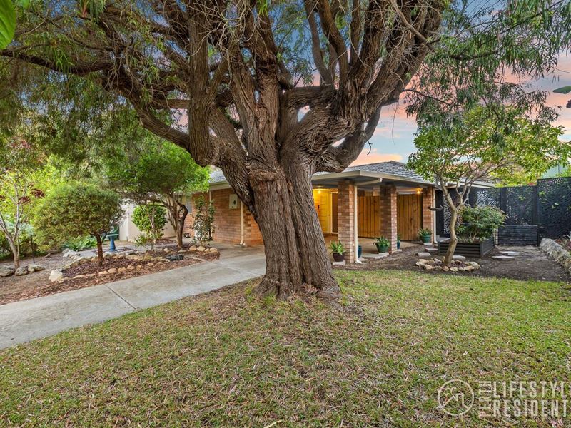 8 Augusta Grove, Yanchep WA 6035